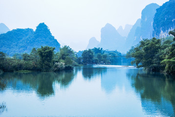 成年小鼠大脑中基因调节元件的地图集